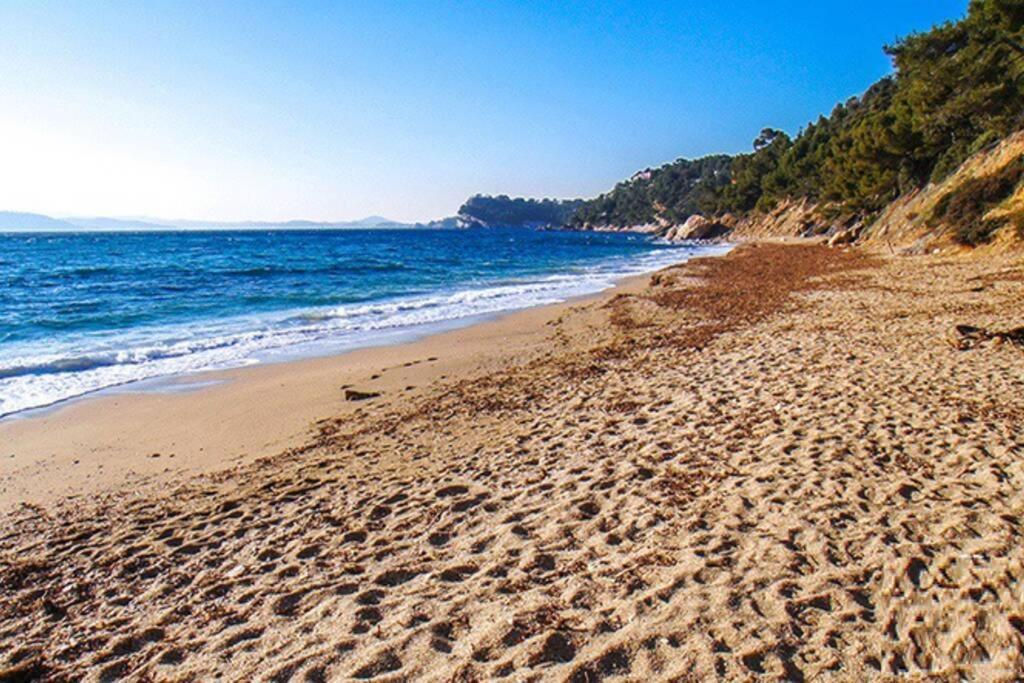 Апартаменты Superbe T2 Lumineux 3*** 10 Mn A Pied De La Plage Ле-Праде Экстерьер фото